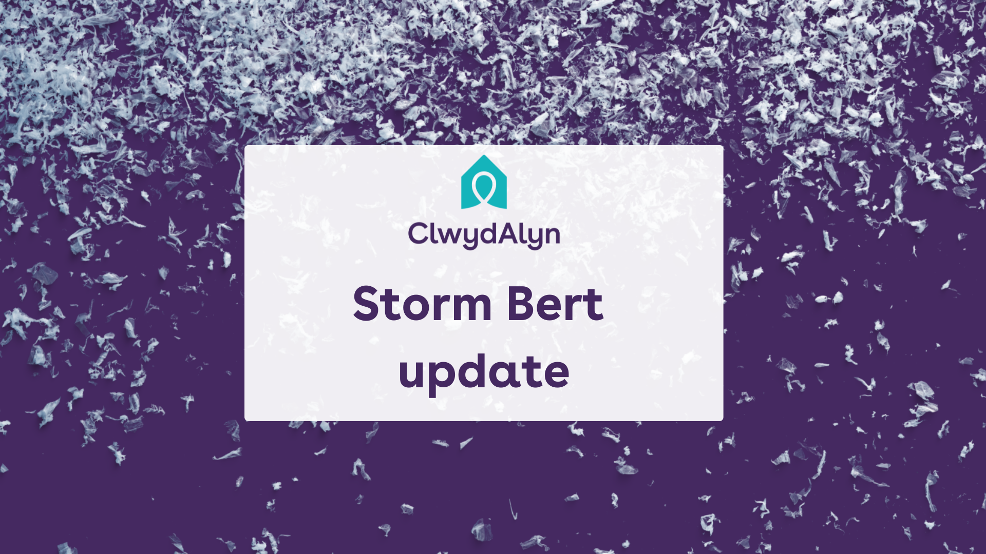 Storm Bert Update